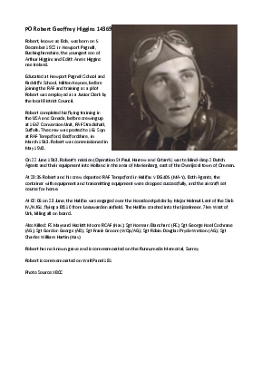 A preview of a PDF biography for Higgins, Robert Geoffrey